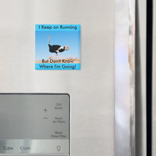Behålla om att köra striktmagnet magnet