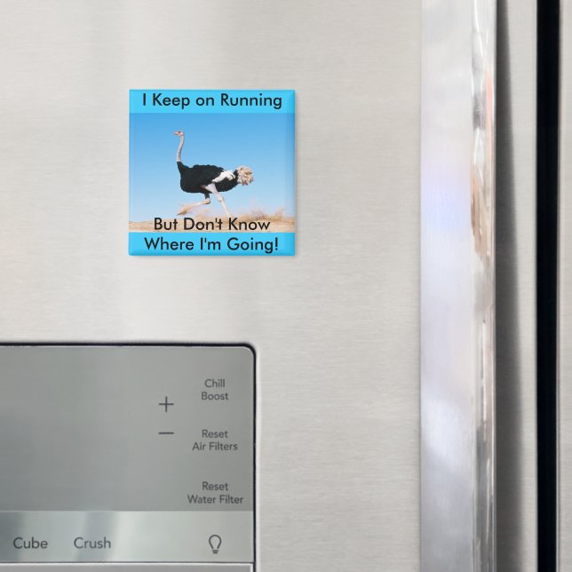 Behålla om att köra striktmagnet magnet (In Situ (Fridge))