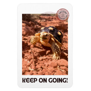 Behålla om hur man går med inspirationsindikator f magnet