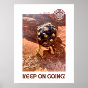 Behålla om jakt på Baby Sulcata i Sedona Poster