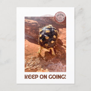 Behålla om jakt på Baby Sulcata i Sedona Vykort