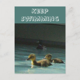 Behålla Swimming Duckings vykort