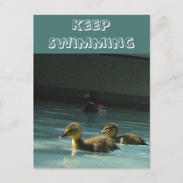 Behålla Swimming Duckings vykort (Framsida)