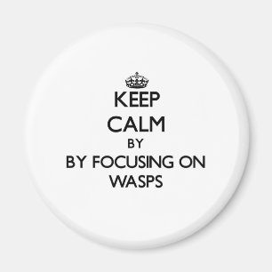 Behållalugn, genom att fokusera på Wasps Magnet
