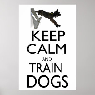 Behållalugn och tåghundar poster