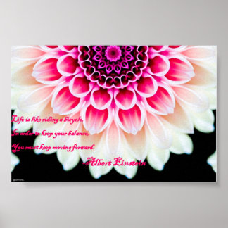 Behållans flytta framåt poster