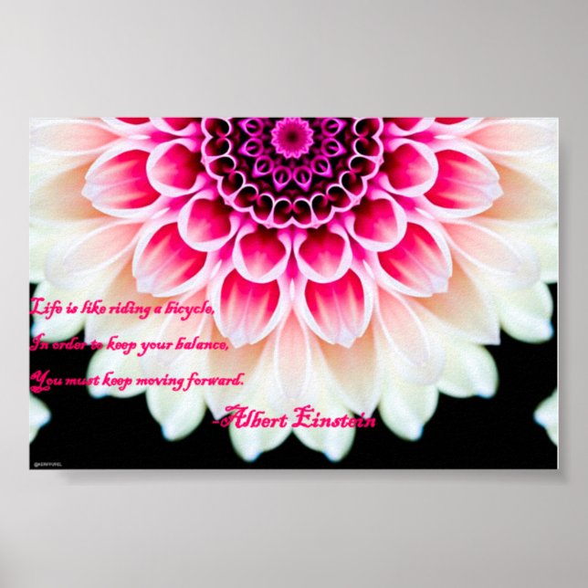 Behållans flytta framåt poster (Framsidan)