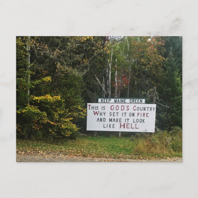 behållans grönt vykort (Framsida)