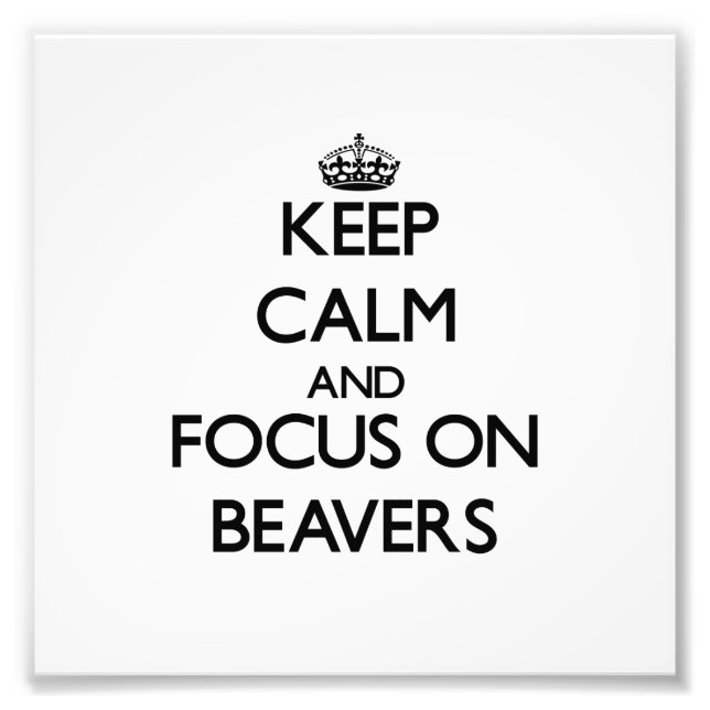 Behållans Lugn och fokus på Beavers Fototryck (Framsidan)