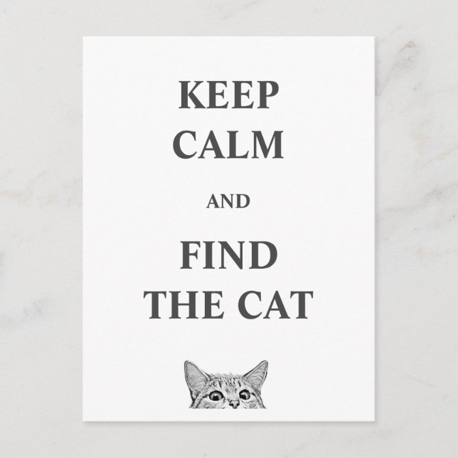 Behållans lugn och hitta katten vykort (Framsida)