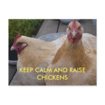 Behållans Lugn och höj köldkortet