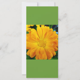 behållans lugn och inläsning, bokmärke för gultens