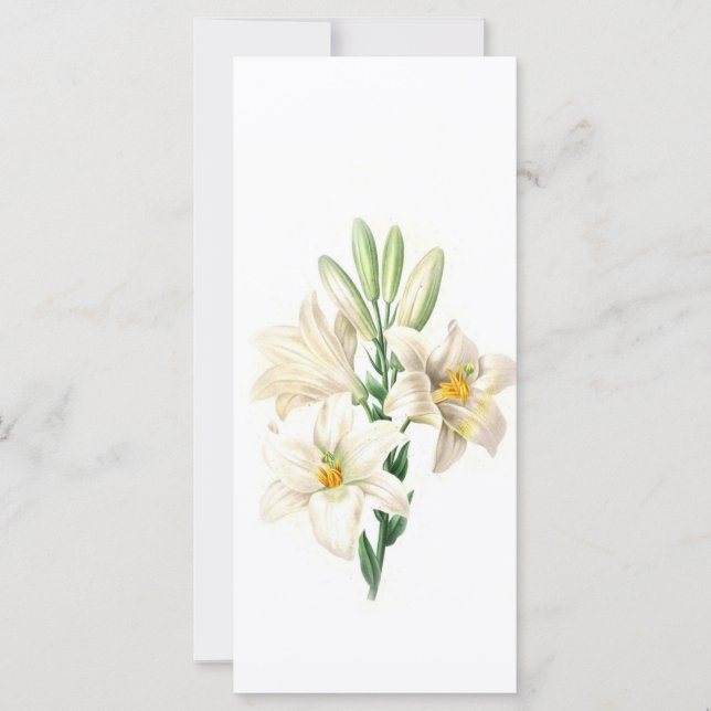 behållans lugn och läsning, elegantens vita, lila  (Framsida)