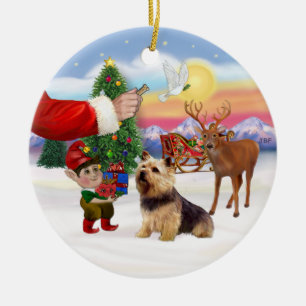 Behandla en norwich Terrier Julgransprydnad Keramik