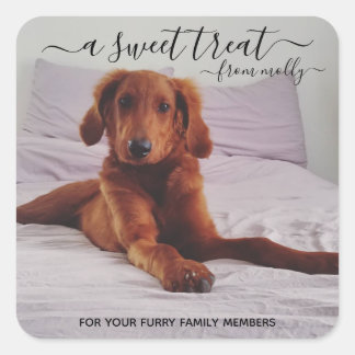 Behandla favoritstickers fyrkantigt klistermärke