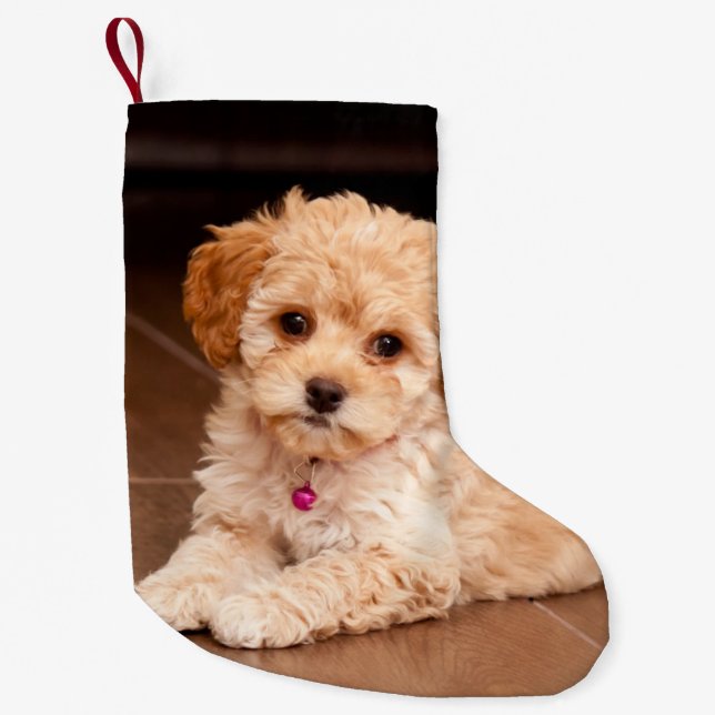 Behandla som ett barn den maltesiska liten julstrumpa (Framsidan)