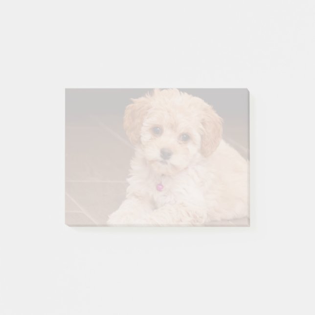 Behandla som ett barn den maltesiska post-it block (Framsida)