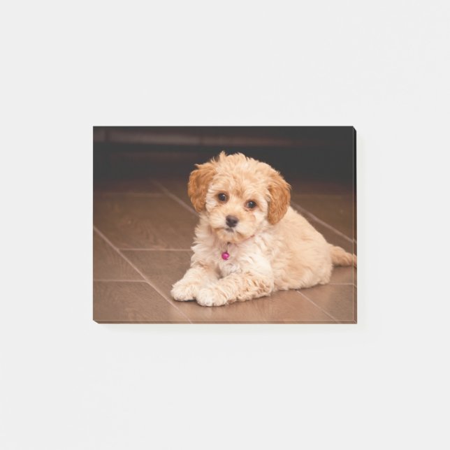 Behandla som ett barn den maltesiska post-it block (Framsida)