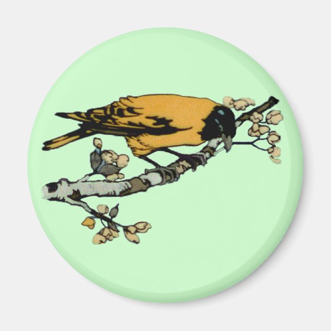 Behandling av Gult Vintage Bird Illustration Magnet (Framsidan)