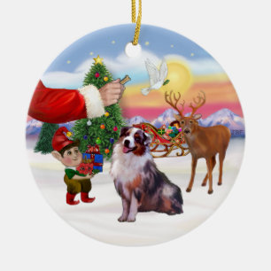 Behandlingen av Australian shepherd (merle) Julgransprydnad Keramik