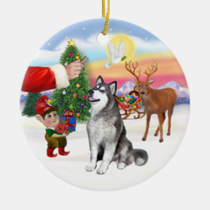 Behandlingen av en Alaska Malamute Julgransprydnad Keramik