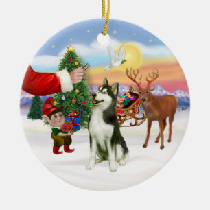 Behandlingen av Siberian husky (#3) Julgransprydnad Keramik