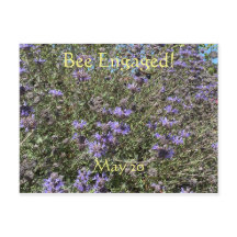 Behandlingen: vykort för världsbidagen