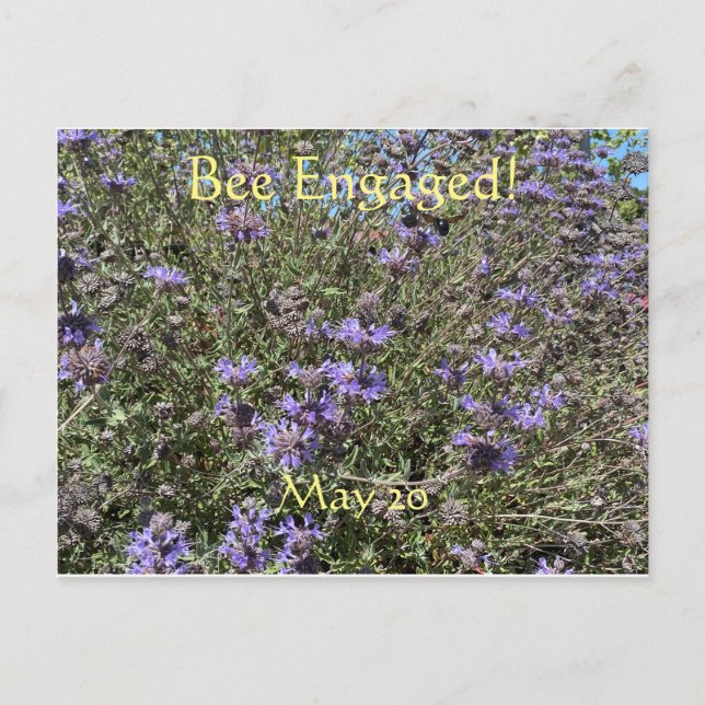 Behandlingen: vykort för världsbidagen (Framsida)