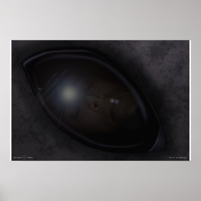 Beholder öga poster (Framsidan)