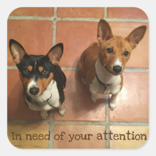 Behöva Basenjis Fyrkantigt Klistermärke
