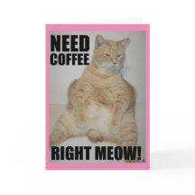 BEHÖVER KAFFE NU! Manx-katt sitter roligt