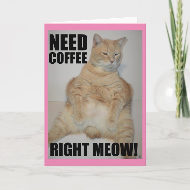 BEHÖVER KOFFEE HÖGER MEOW! Manx Cat Sitta Funny Kort (Framsida)