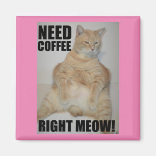 BEHÖVER KOFFEE HÖGER MEOW! Manx Cat Sitta Funny Magnet