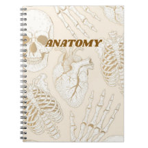 Beige anatomi skelett medicinsk estetisk design