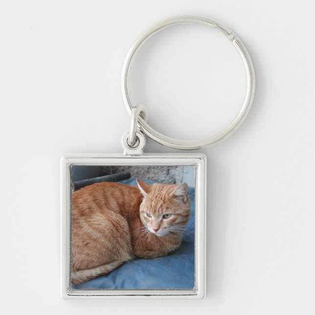 Beige Cat Fyrkantig Silverfärgad Nyckelring (Framsidan)