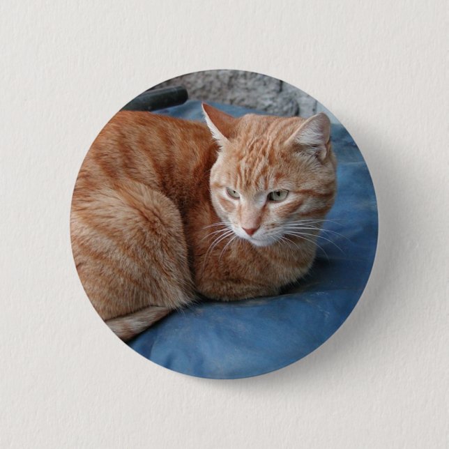 Beige Cat Knapp (Framsida)