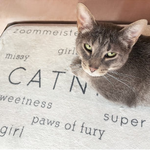 Beige Flat Soft Cat Bed Mat Pet Namn + Nickname Badrumsmatta