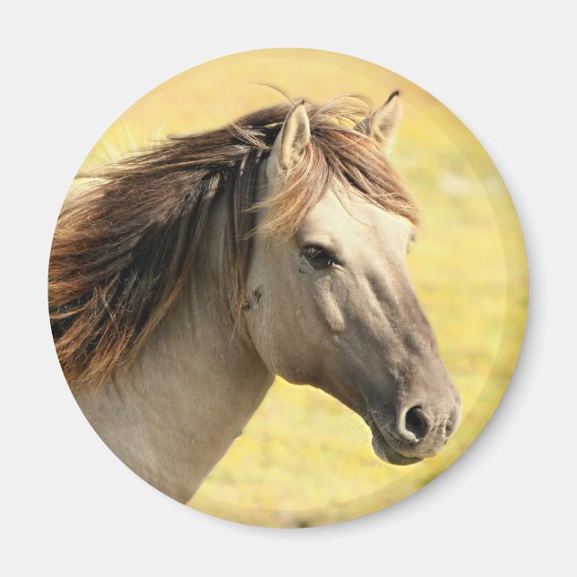 Beige Horse Profile Magnet (Framsidan)