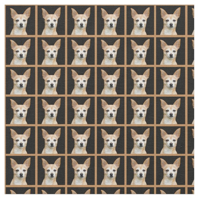 Beige målad chihuahua på svart bakgrund tyg (Närbild)