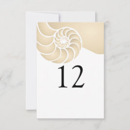 Beige Nautilus Skal Strand Bröllop
