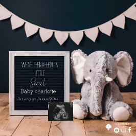 Beige och grått Minimalist gravid-meddelande Inbjudningar