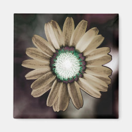Beige Rustic Daisy Magnet