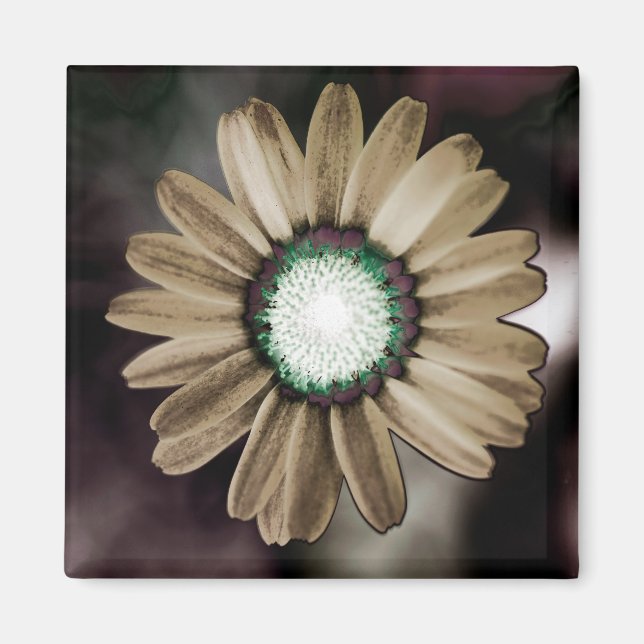 Beige Rustic Daisy Magnet (Framsidan)