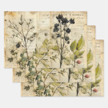 Beige Vintage Vattenfärg Naturlig Åkerblomma