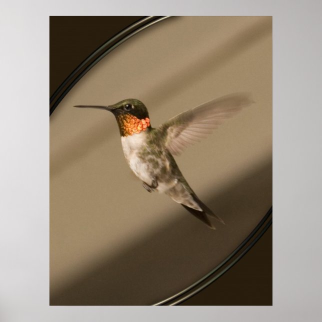 Beija Flor Poster (Framsidan)