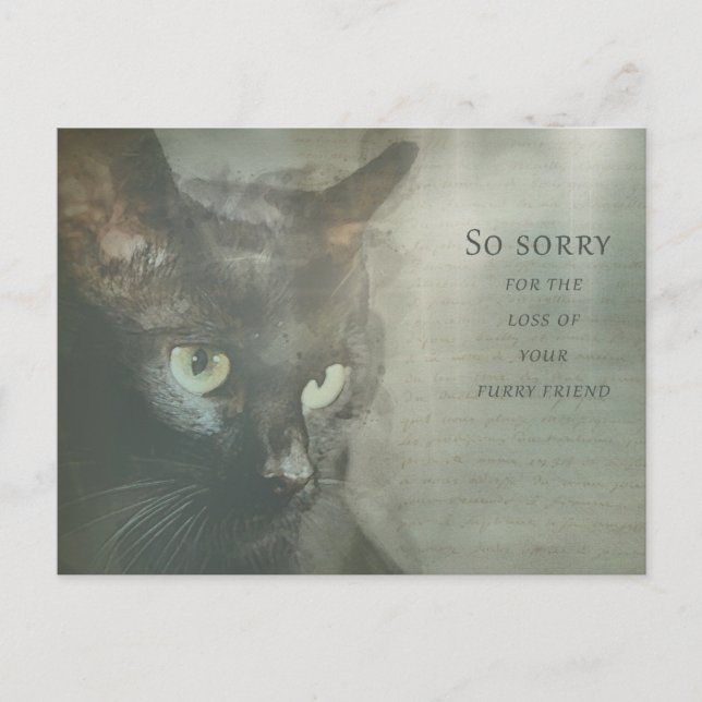 Beileidskarte Katze - Schwarz - Sympathy Card Vykort (Framsida)