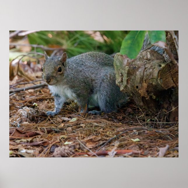 Being Careful Poster (Framsidan)