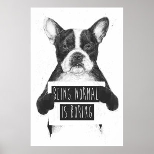 Being normal is boring poster