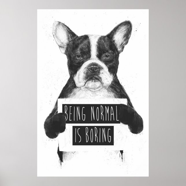Being normal is boring poster (Framsidan)