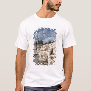 Beit en nationalpark, romerska ruiner tee shirt